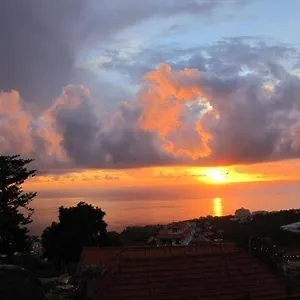 https://madeira-house.madeira-islandshotels.com